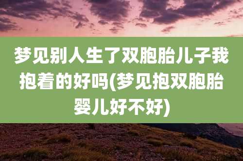 梦见别人生了双胞胎儿子我抱着的好吗(梦见抱双胞胎婴儿好不好)