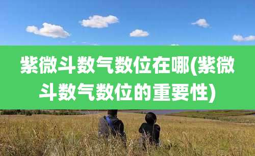 紫微斗数气数位在哪(紫微斗数气数位的重要性)