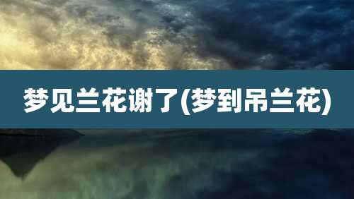 梦见兰花谢了(梦到吊兰花)