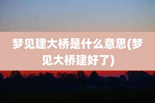 梦见建大桥是什么意思(梦见大桥建好了)