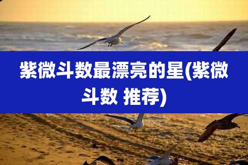 紫微斗数最漂亮的星(紫微斗数 推荐)