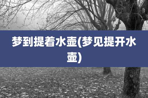 梦到提着水壶(梦见提开水壶)