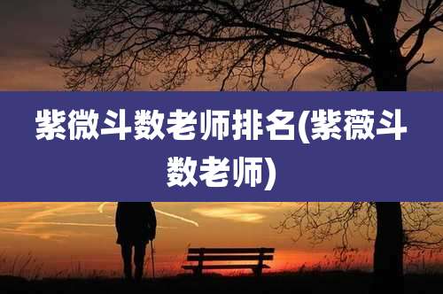 紫微斗数老师排名(紫薇斗数老师)