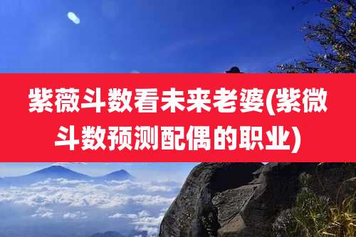 紫薇斗数看未来老婆(紫微斗数预测配偶的职业)