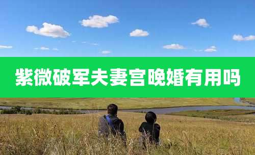 紫微破军夫妻宫晚婚有用吗