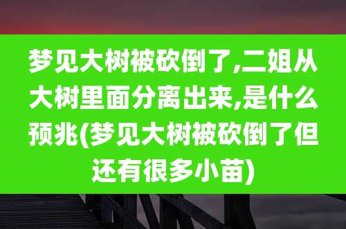 梦见大树被砍倒了,二姐从大树里面分离出来,是什么预兆(梦见大树被砍倒了但还有很多小苗)
