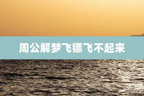 周公解梦飞镖飞不起来