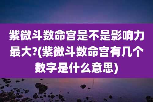 紫微斗数命宫是不是影响力最大?(紫微斗数命宫有几个数字是什么意思)