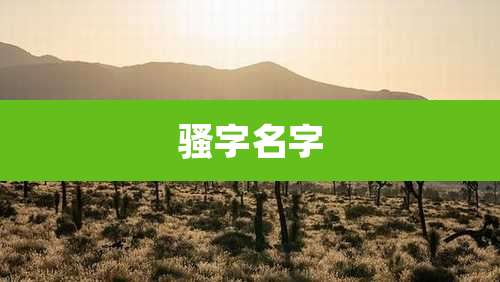 骚字名字