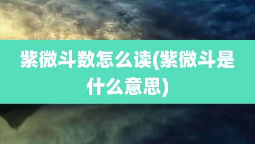 紫微斗数怎么读(紫微斗是什么意思)
