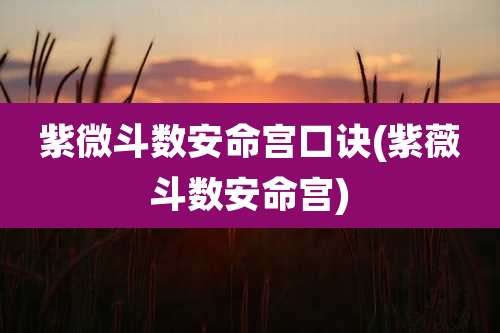 紫微斗数安命宫口诀(紫薇斗数安命宫)