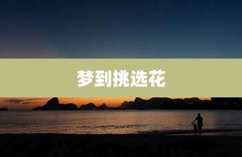 梦到挑选花