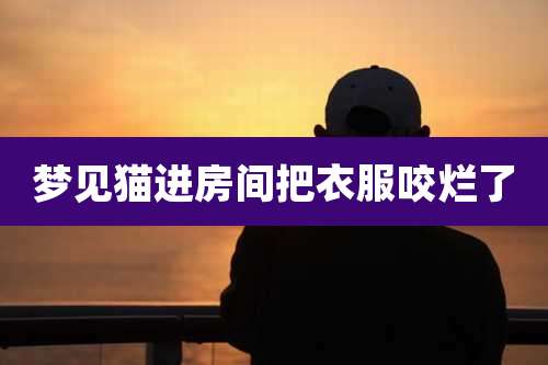 梦见猫进房间把衣服咬烂了