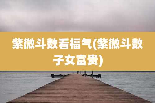 紫微斗数看福气(紫微斗数子女富贵)