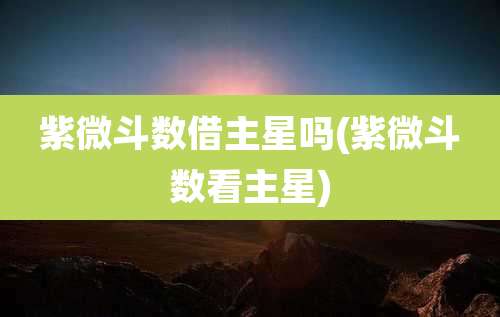 紫微斗数借主星吗(紫微斗数看主星)