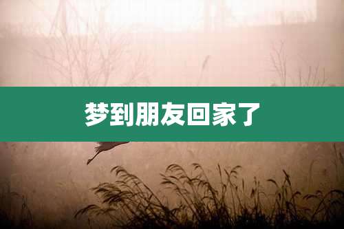 梦到朋友回家了