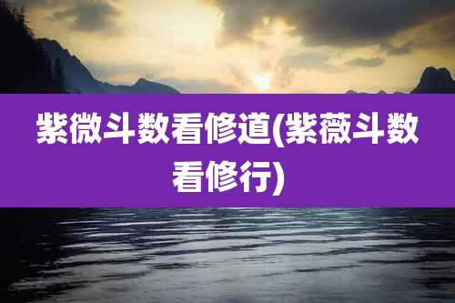 紫微斗数看修道(紫薇斗数看修行)