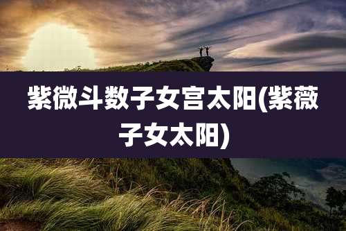 紫微斗数子女宫太阳(紫薇子女太阳)