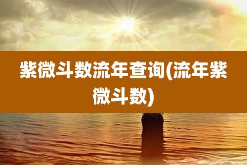 紫微斗数流年查询(流年紫微斗数)