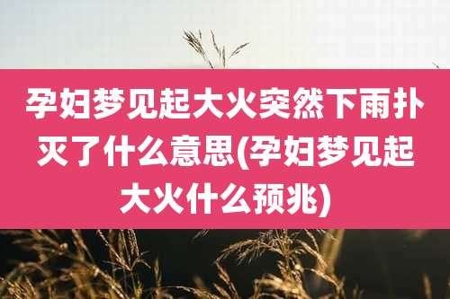 孕妇梦见起大火突然下雨扑灭了什么意思(孕妇梦见起大火什么预兆)