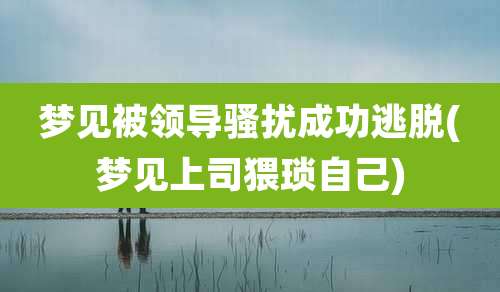 梦见被领导骚扰成功逃脱(梦见上司猥琐自己)