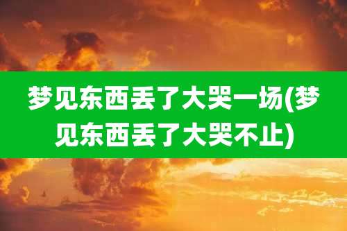 梦见东西丢了大哭一场(梦见东西丢了大哭不止)