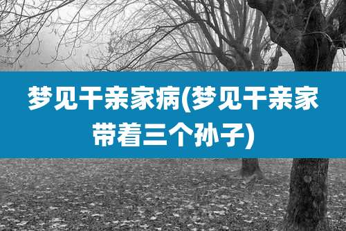 梦见干亲家病(梦见干亲家带着三个孙子)