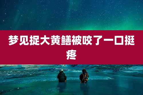 梦见捉大黄鳝被咬了一口挺疼