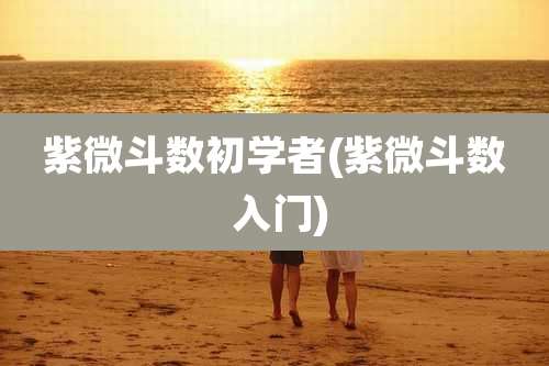 紫微斗数初学者(紫微斗数 入门)