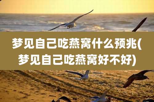 梦见自己吃燕窝什么预兆(梦见自己吃燕窝好不好)