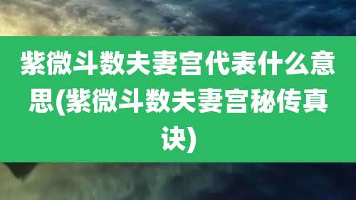 紫微斗数夫妻宫代表什么意思(紫微斗数夫妻宫秘传真诀)