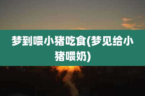 梦到喂小猪吃食(梦见给小猪喂奶)