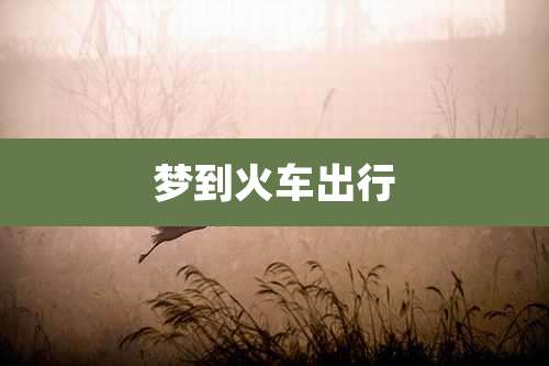 梦到火车出行