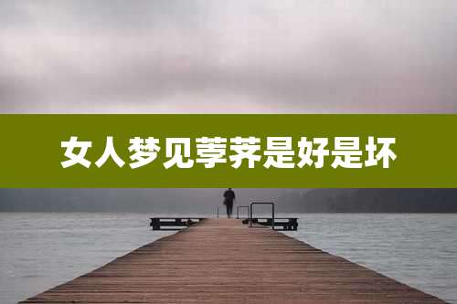 女人梦见荸荠是好是坏