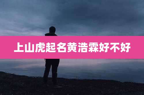 上山虎起名黄浩霖好不好