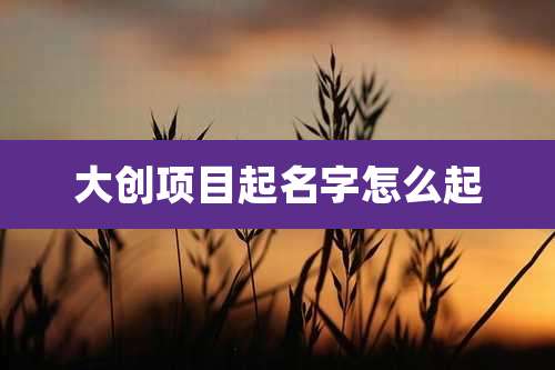 大创项目起名字怎么起