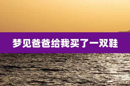 梦见爸爸给我买了一双鞋