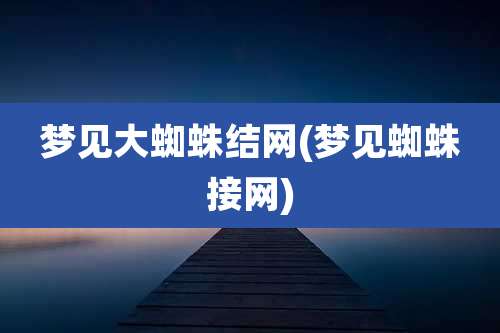 梦见大蜘蛛结网(梦见蜘蛛接网)