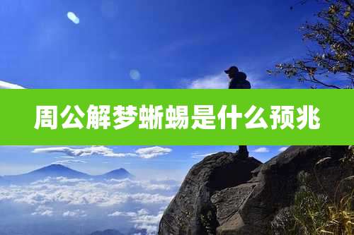 周公解梦蜥蜴是什么预兆