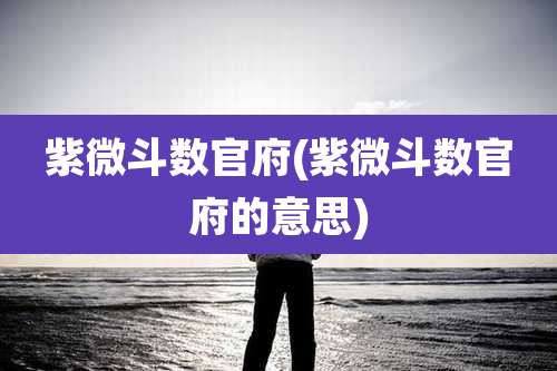 紫微斗数官府(紫微斗数官府的意思)