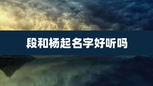 段和杨起名字好听吗