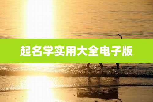 起名学实用大全电子版