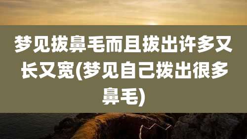 梦见拔鼻毛而且拔出许多又长又宽(梦见自己拨出很多鼻毛)