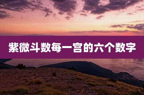 紫微斗数每一宫的六个数字