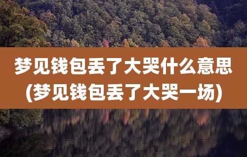 梦见钱包丢了大哭什么意思(梦见钱包丢了大哭一场)