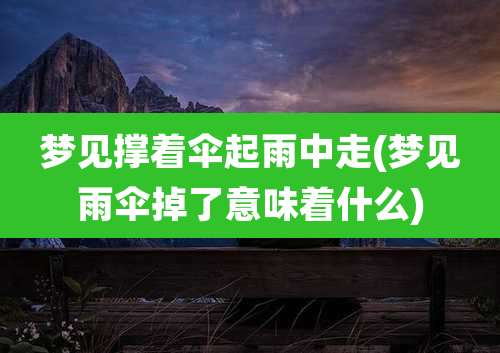 梦见撑着伞起雨中走(梦见雨伞掉了意味着什么)