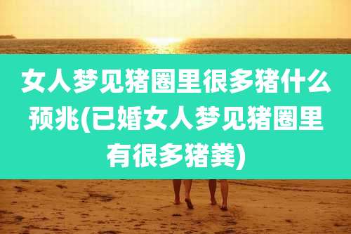 女人梦见猪圈里很多猪什么预兆(已婚女人梦见猪圈里有很多猪粪)