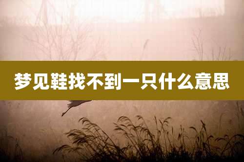 梦见鞋找不到一只什么意思