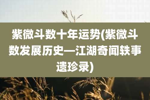 紫微斗数十年运势(紫微斗数发展历史—江湖奇闻轶事遗珍录)