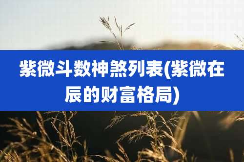 紫微斗数神煞列表(紫微在辰的财富格局)